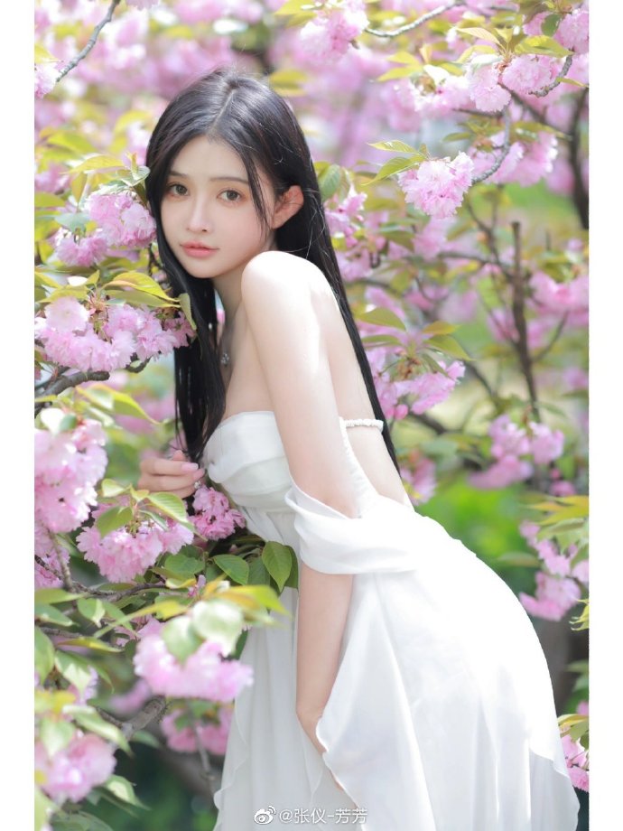 乐播影视网